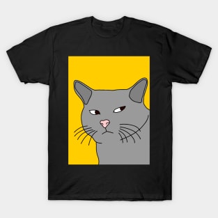 Suspicious Cat T-Shirt